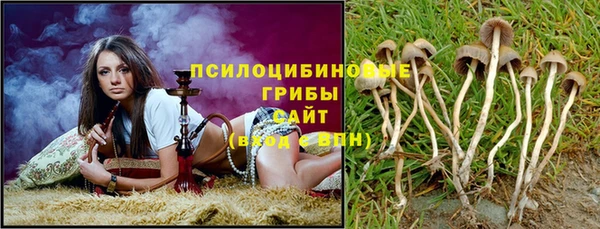 герыч Магас