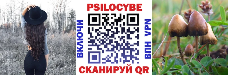 ОМГ ОМГ ссылка  Юрьевец  Псилоцибиновые грибы прущие грибы 
